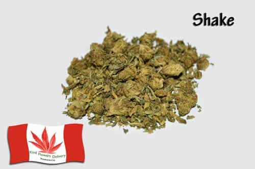 2g6ELV8dle9I71Wbv60KGGSZFJPvvf7KvXcI52iq - Shake (High End) Weed Delivery Toronto - Cannabis Delivery Toronto - Marijuana Delivery Toronto - Weed Edibles Delivery Toronto - Kush Delivery Toronto - Same Day Weed Delivery in Toronto - 24/7 Weed Delivery Toronto - Hash Delivery Toronto - We are Kind Flowers - Premium Cannabis Delivery in Toronto with over 200 menu items. We’re an experienced weed delivery in Toronto and we deliver all orders in a smell-proof, discreet package straight to your door. Proudly Canadian and happy to always serve you. We offer same day weed delivery toronto, cannabis delivery toronto, kush delivery toronto, edibles weed delivery toronto, hash delivery toronto, 24/7 weed delivery toronto, weed online delivery toronto