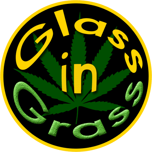 GlassGrassRound - Glass In Grass Sativa Hand Crafted Shatter Blunts