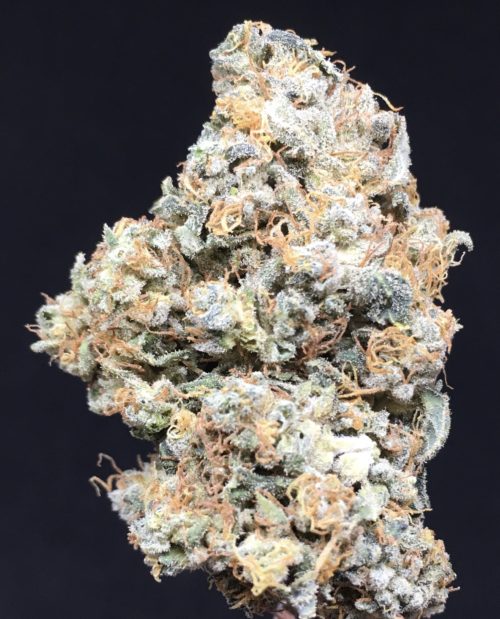gorilla breath - #8 The New Year Deal Weed Delivery Toronto - Cannabis Delivery Toronto - Marijuana Delivery Toronto - Weed Edibles Delivery Toronto - Kush Delivery Toronto - Same Day Weed Delivery in Toronto - 24/7 Weed Delivery Toronto - Hash Delivery Toronto - We are Kind Flowers - Premium Cannabis Delivery in Toronto with over 200 menu items. We’re an experienced weed delivery in Toronto and we deliver all orders in a smell-proof, discreet package straight to your door. Proudly Canadian and happy to always serve you. We offer same day weed delivery toronto, cannabis delivery toronto, kush delivery toronto, edibles weed delivery toronto, hash delivery toronto, 24/7 weed delivery toronto, weed online delivery toronto