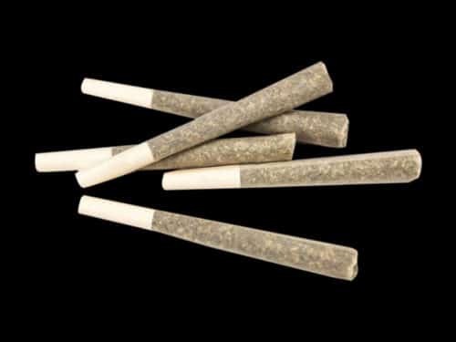 prerolls 6 - * The Silver Leaf Deal Of The Day