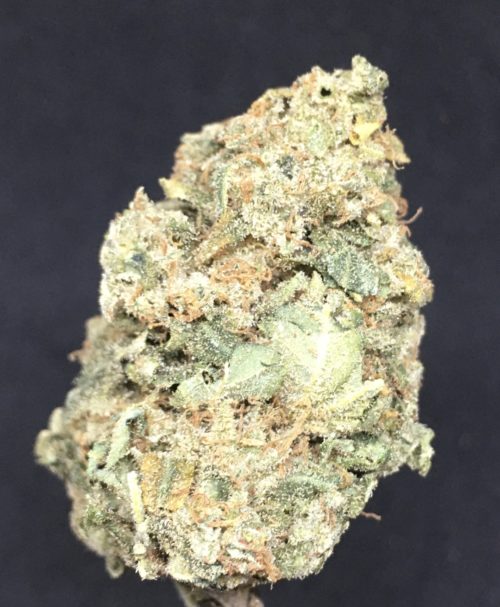 spaceman 2021 jan - #6 The Blue Sky Special Deal Of The Day Weed Delivery Toronto - Cannabis Delivery Toronto - Marijuana Delivery Toronto - Weed Edibles Delivery Toronto - Kush Delivery Toronto - Same Day Weed Delivery in Toronto - 24/7 Weed Delivery Toronto - Hash Delivery Toronto - We are Kind Flowers - Premium Cannabis Delivery in Toronto with over 200 menu items. We’re an experienced weed delivery in Toronto and we deliver all orders in a smell-proof, discreet package straight to your door. Proudly Canadian and happy to always serve you. We offer same day weed delivery toronto, cannabis delivery toronto, kush delivery toronto, edibles weed delivery toronto, hash delivery toronto, 24/7 weed delivery toronto, weed online delivery toronto
