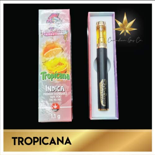 major league extractions tropicana - Major League Pens Bundle Of 5 Weed Delivery Toronto - Cannabis Delivery Toronto - Marijuana Delivery Toronto - Weed Edibles Delivery Toronto - Kush Delivery Toronto - Same Day Weed Delivery in Toronto - 24/7 Weed Delivery Toronto - Hash Delivery Toronto - We are Kind Flowers - Premium Cannabis Delivery in Toronto with over 200 menu items. We’re an experienced weed delivery in Toronto and we deliver all orders in a smell-proof, discreet package straight to your door. Proudly Canadian and happy to always serve you. We offer same day weed delivery toronto, cannabis delivery toronto, kush delivery toronto, edibles weed delivery toronto, hash delivery toronto, 24/7 weed delivery toronto, weed online delivery toronto