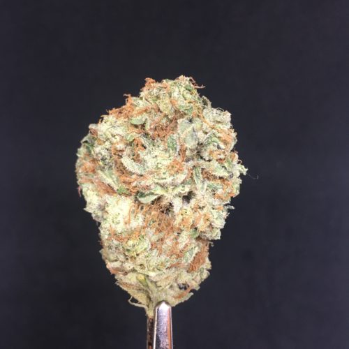 c g 10 2 scaled - #7 Cherry Times Deal Indica Leaning Hybrid (AAA+)** NEW DEAL