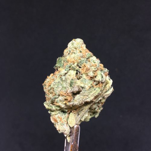 tropic thunder 1 scaled - #5 Vibe Deal (Indica) Weed Delivery Toronto - Cannabis Delivery Toronto - Marijuana Delivery Toronto - Weed Edibles Delivery Toronto - Kush Delivery Toronto - Same Day Weed Delivery in Toronto - 24/7 Weed Delivery Toronto - Hash Delivery Toronto - We are Kind Flowers - Premium Cannabis Delivery in Toronto with over 200 menu items. We’re an experienced weed delivery in Toronto and we deliver all orders in a smell-proof, discreet package straight to your door. Proudly Canadian and happy to always serve you. We offer same day weed delivery toronto, cannabis delivery toronto, kush delivery toronto, edibles weed delivery toronto, hash delivery toronto, 24/7 weed delivery toronto, weed online delivery toronto