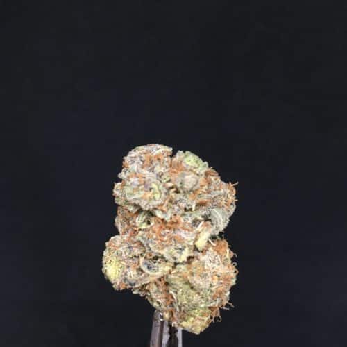 zour apples 1 scaled - Zour Apples AAAA Craft Boutique Flower ***Fire Sale Promo*** Weed Delivery Toronto - Cannabis Delivery Toronto - Marijuana Delivery Toronto - Weed Edibles Delivery Toronto - Kush Delivery Toronto - Same Day Weed Delivery in Toronto - 24/7 Weed Delivery Toronto - Hash Delivery Toronto - We are Kind Flowers - Premium Cannabis Delivery in Toronto with over 200 menu items. We’re an experienced weed delivery in Toronto and we deliver all orders in a smell-proof, discreet package straight to your door. Proudly Canadian and happy to always serve you. We offer same day weed delivery toronto, cannabis delivery toronto, kush delivery toronto, edibles weed delivery toronto, hash delivery toronto, 24/7 weed delivery toronto, weed online delivery toronto