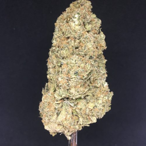 citrus farmer 1 scaled - #9 The NEW 1 OZ Chronic Ying Yang Kind Can Deal Weed Delivery Toronto - Cannabis Delivery Toronto - Marijuana Delivery Toronto - Weed Edibles Delivery Toronto - Kush Delivery Toronto - Same Day Weed Delivery in Toronto - 24/7 Weed Delivery Toronto - Hash Delivery Toronto - We are Kind Flowers - Premium Cannabis Delivery in Toronto with over 200 menu items. We’re an experienced weed delivery in Toronto and we deliver all orders in a smell-proof, discreet package straight to your door. Proudly Canadian and happy to always serve you. We offer same day weed delivery toronto, cannabis delivery toronto, kush delivery toronto, edibles weed delivery toronto, hash delivery toronto, 24/7 weed delivery toronto, weed online delivery toronto