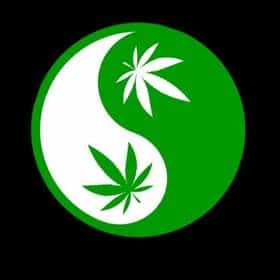 bundle logo add on - #9 The NEW 1 OZ Chronic Ying Yang Kind Can Deal Weed Delivery Toronto - Cannabis Delivery Toronto - Marijuana Delivery Toronto - Weed Edibles Delivery Toronto - Kush Delivery Toronto - Same Day Weed Delivery in Toronto - 24/7 Weed Delivery Toronto - Hash Delivery Toronto - We are Kind Flowers - Premium Cannabis Delivery in Toronto with over 200 menu items. We’re an experienced weed delivery in Toronto and we deliver all orders in a smell-proof, discreet package straight to your door. Proudly Canadian and happy to always serve you. We offer same day weed delivery toronto, cannabis delivery toronto, kush delivery toronto, edibles weed delivery toronto, hash delivery toronto, 24/7 weed delivery toronto, weed online delivery toronto