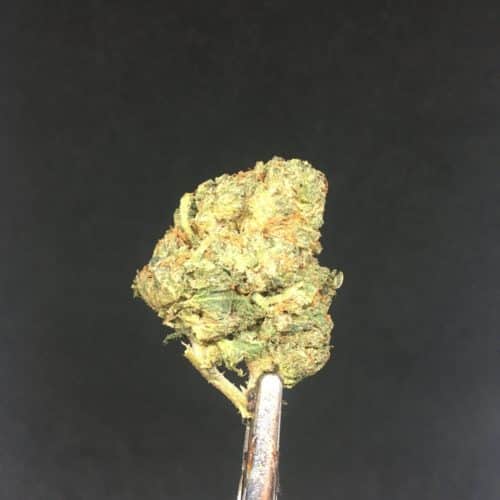ogkush 3 scaled - OG Kush Select AA+ Indica Leaning Hybrid Weed Delivery Toronto - Cannabis Delivery Toronto - Marijuana Delivery Toronto - Weed Edibles Delivery Toronto - Kush Delivery Toronto - Same Day Weed Delivery in Toronto - 24/7 Weed Delivery Toronto - Hash Delivery Toronto - We are Kind Flowers - Premium Cannabis Delivery in Toronto with over 200 menu items. We’re an experienced weed delivery in Toronto and we deliver all orders in a smell-proof, discreet package straight to your door. Proudly Canadian and happy to always serve you. We offer same day weed delivery toronto, cannabis delivery toronto, kush delivery toronto, edibles weed delivery toronto, hash delivery toronto, 24/7 weed delivery toronto, weed online delivery toronto