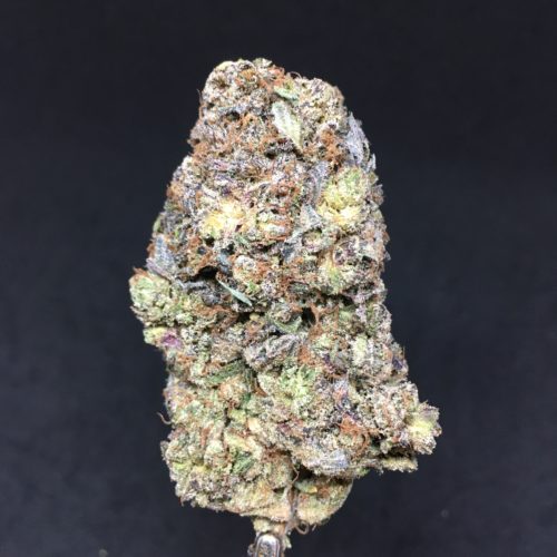pine tar 2 scaled - Pine Tar Nelson B.C Fire Buds 100% Indica 5Star/Immaculate
