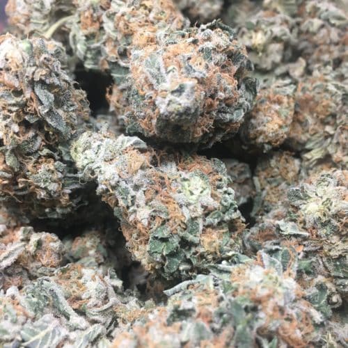 cherry gar see yah bag scaled - Cherry Gar See Ya Premium AAA+ Exotic 3 way Hybrid (BOGO DEAL) Weed Delivery Toronto - Cannabis Delivery Toronto - Marijuana Delivery Toronto - Weed Edibles Delivery Toronto - Kush Delivery Toronto - Same Day Weed Delivery in Toronto - 24/7 Weed Delivery Toronto - Hash Delivery Toronto - We are Kind Flowers - Premium Cannabis Delivery in Toronto with over 200 menu items. We’re an experienced weed delivery in Toronto and we deliver all orders in a smell-proof, discreet package straight to your door. Proudly Canadian and happy to always serve you. We offer same day weed delivery toronto, cannabis delivery toronto, kush delivery toronto, edibles weed delivery toronto, hash delivery toronto, 24/7 weed delivery toronto, weed online delivery toronto