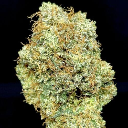 pink bubba bud scaled - Pink Bubba AAAA+ B.C Craft Cannabis 100% Indica