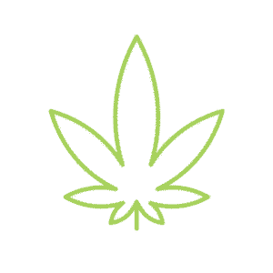 bud flower logo deals - Kind Flowers - Weed Delivery Toronto - Cannabis Delivery Toronto - Marijuana Delivery Toronto - Weed Edibles Delivery Toronto - Kush Delivery Toronto - Same Day Weed Delivery in Toronto - 24/7 Weed Delivery Toronto - Hash Delivery Toronto Weed Delivery Toronto - Cannabis Delivery Toronto - Marijuana Delivery Toronto - Weed Edibles Delivery Toronto - Kush Delivery Toronto - Same Day Weed Delivery in Toronto - 24/7 Weed Delivery Toronto - Hash Delivery Toronto - We are Kind Flowers - Premium Cannabis Delivery in Toronto with over 200 menu items. We’re an experienced weed delivery in Toronto and we deliver all orders in a smell-proof, discreet package straight to your door. Proudly Canadian and happy to always serve you. We offer same day weed delivery toronto, cannabis delivery toronto, kush delivery toronto, edibles weed delivery toronto, hash delivery toronto, 24/7 weed delivery toronto, weed online delivery toronto