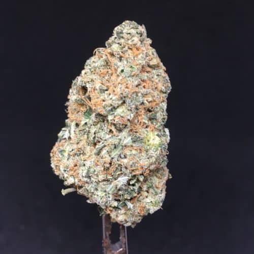 gorilla breath 2022 scaled - #3 **Up To 65% OFF**New 420 Flower Deal (Sativa, Hybrid, Indica) 5 Oz + 5x400MG Gummy Save BIG$ Weed Delivery Toronto - Cannabis Delivery Toronto - Marijuana Delivery Toronto - Weed Edibles Delivery Toronto - Kush Delivery Toronto - Same Day Weed Delivery in Toronto - 24/7 Weed Delivery Toronto - Hash Delivery Toronto - We are Kind Flowers - Premium Cannabis Delivery in Toronto with over 200 menu items. We’re an experienced weed delivery in Toronto and we deliver all orders in a smell-proof, discreet package straight to your door. Proudly Canadian and happy to always serve you. We offer same day weed delivery toronto, cannabis delivery toronto, kush delivery toronto, edibles weed delivery toronto, hash delivery toronto, 24/7 weed delivery toronto, weed online delivery toronto