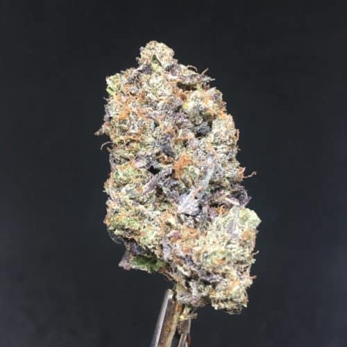 pink fire bud scaled - Pink Fire B.C Craft Cannabis AAAA+ Indica Leaning Hybrid Weed Delivery Toronto - Cannabis Delivery Toronto - Marijuana Delivery Toronto - Weed Edibles Delivery Toronto - Kush Delivery Toronto - Same Day Weed Delivery in Toronto - 24/7 Weed Delivery Toronto - Hash Delivery Toronto - We are Kind Flowers - Premium Cannabis Delivery in Toronto with over 200 menu items. We’re an experienced weed delivery in Toronto and we deliver all orders in a smell-proof, discreet package straight to your door. Proudly Canadian and happy to always serve you. We offer same day weed delivery toronto, cannabis delivery toronto, kush delivery toronto, edibles weed delivery toronto, hash delivery toronto, 24/7 weed delivery toronto, weed online delivery toronto