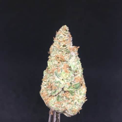 wedding pop nug scaled - #9 The NEW 1 OZ Chronic Ying Yang Kind Can Deal Weed Delivery Toronto - Cannabis Delivery Toronto - Marijuana Delivery Toronto - Weed Edibles Delivery Toronto - Kush Delivery Toronto - Same Day Weed Delivery in Toronto - 24/7 Weed Delivery Toronto - Hash Delivery Toronto - We are Kind Flowers - Premium Cannabis Delivery in Toronto with over 200 menu items. We’re an experienced weed delivery in Toronto and we deliver all orders in a smell-proof, discreet package straight to your door. Proudly Canadian and happy to always serve you. We offer same day weed delivery toronto, cannabis delivery toronto, kush delivery toronto, edibles weed delivery toronto, hash delivery toronto, 24/7 weed delivery toronto, weed online delivery toronto
