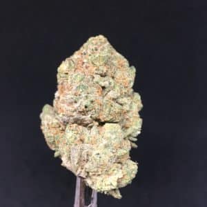 all gas bud - Kind Flowers - Weed Delivery Toronto - Cannabis Delivery Toronto - Marijuana Delivery Toronto - Weed Edibles Delivery Toronto - Kush Delivery Toronto - Same Day Weed Delivery in Toronto - 24/7 Weed Delivery Toronto - Hash Delivery Toronto Weed Delivery Toronto - Cannabis Delivery Toronto - Marijuana Delivery Toronto - Weed Edibles Delivery Toronto - Kush Delivery Toronto - Same Day Weed Delivery in Toronto - 24/7 Weed Delivery Toronto - Hash Delivery Toronto - We are Kind Flowers - Premium Cannabis Delivery in Toronto with over 200 menu items. We’re an experienced weed delivery in Toronto and we deliver all orders in a smell-proof, discreet package straight to your door. Proudly Canadian and happy to always serve you. We offer same day weed delivery toronto, cannabis delivery toronto, kush delivery toronto, edibles weed delivery toronto, hash delivery toronto, 24/7 weed delivery toronto, weed online delivery toronto
