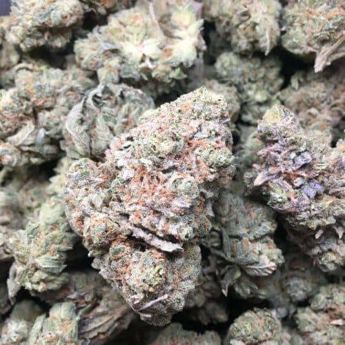 all gas buds scaled - All Gas AAA Premium B.C Flower Indica Leaning Hybrid Weed Delivery Toronto - Cannabis Delivery Toronto - Marijuana Delivery Toronto - Weed Edibles Delivery Toronto - Kush Delivery Toronto - Same Day Weed Delivery in Toronto - 24/7 Weed Delivery Toronto - Hash Delivery Toronto - We are Kind Flowers - Premium Cannabis Delivery in Toronto with over 200 menu items. We’re an experienced weed delivery in Toronto and we deliver all orders in a smell-proof, discreet package straight to your door. Proudly Canadian and happy to always serve you. We offer same day weed delivery toronto, cannabis delivery toronto, kush delivery toronto, edibles weed delivery toronto, hash delivery toronto, 24/7 weed delivery toronto, weed online delivery toronto