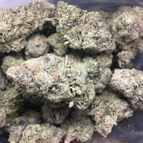 pink halo bud bag scaled - Pink Halo Kush B.C Collective 5 Star Immaculate Indica Weed Delivery Toronto - Cannabis Delivery Toronto - Marijuana Delivery Toronto - Weed Edibles Delivery Toronto - Kush Delivery Toronto - Same Day Weed Delivery in Toronto - 24/7 Weed Delivery Toronto - Hash Delivery Toronto - We are Kind Flowers - Premium Cannabis Delivery in Toronto with over 200 menu items. We’re an experienced weed delivery in Toronto and we deliver all orders in a smell-proof, discreet package straight to your door. Proudly Canadian and happy to always serve you. We offer same day weed delivery toronto, cannabis delivery toronto, kush delivery toronto, edibles weed delivery toronto, hash delivery toronto, 24/7 weed delivery toronto, weed online delivery toronto