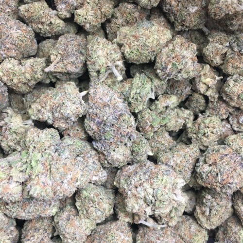 gods green crack bag scaled - Gods Green Crack AAA+ Premium B.C Cannabis Hybrid (55%(I)/ 45%(S)) Weed Delivery Toronto - Cannabis Delivery Toronto - Marijuana Delivery Toronto - Weed Edibles Delivery Toronto - Kush Delivery Toronto - Same Day Weed Delivery in Toronto - 24/7 Weed Delivery Toronto - Hash Delivery Toronto - We are Kind Flowers - Premium Cannabis Delivery in Toronto with over 200 menu items. We’re an experienced weed delivery in Toronto and we deliver all orders in a smell-proof, discreet package straight to your door. Proudly Canadian and happy to always serve you. We offer same day weed delivery toronto, cannabis delivery toronto, kush delivery toronto, edibles weed delivery toronto, hash delivery toronto, 24/7 weed delivery toronto, weed online delivery toronto