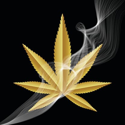 gold leaf logo deal - ** The Gold Leaf Deal Of The Day Weed Delivery Toronto - Cannabis Delivery Toronto - Marijuana Delivery Toronto - Weed Edibles Delivery Toronto - Kush Delivery Toronto - Same Day Weed Delivery in Toronto - 24/7 Weed Delivery Toronto - Hash Delivery Toronto - We are Kind Flowers - Premium Cannabis Delivery in Toronto with over 200 menu items. We’re an experienced weed delivery in Toronto and we deliver all orders in a smell-proof, discreet package straight to your door. Proudly Canadian and happy to always serve you. We offer same day weed delivery toronto, cannabis delivery toronto, kush delivery toronto, edibles weed delivery toronto, hash delivery toronto, 24/7 weed delivery toronto, weed online delivery toronto
