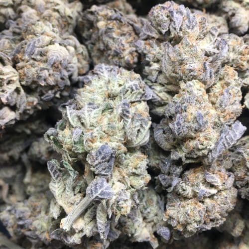 gorilla zkittles bag of buds scaled - Gorilla Zkittlez AAA Premium B.C Bud Indica Leaning Hybrid Weed Delivery Toronto - Cannabis Delivery Toronto - Marijuana Delivery Toronto - Weed Edibles Delivery Toronto - Kush Delivery Toronto - Same Day Weed Delivery in Toronto - 24/7 Weed Delivery Toronto - Hash Delivery Toronto - We are Kind Flowers - Premium Cannabis Delivery in Toronto with over 200 menu items. We’re an experienced weed delivery in Toronto and we deliver all orders in a smell-proof, discreet package straight to your door. Proudly Canadian and happy to always serve you. We offer same day weed delivery toronto, cannabis delivery toronto, kush delivery toronto, edibles weed delivery toronto, hash delivery toronto, 24/7 weed delivery toronto, weed online delivery toronto