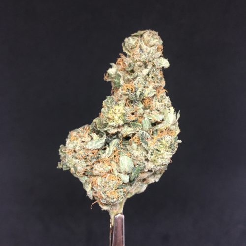 mule fuel bud scaled - **4ozs=170$** Mule Fuel AA+ Select Cannabis Indica