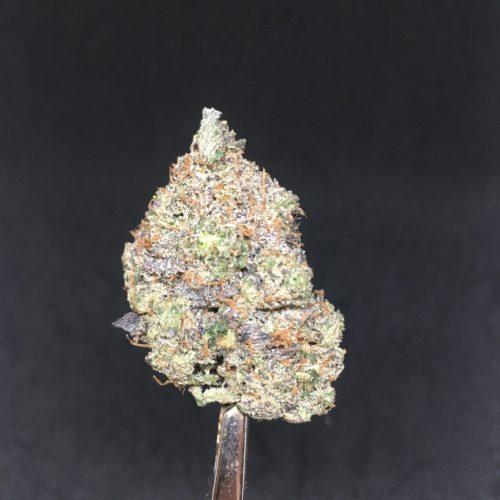 pink ultra bud scaled - ** The Gold Leaf Deal Of The Day