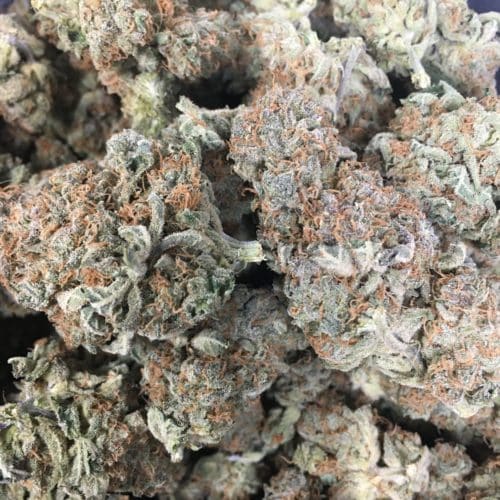scotts OG bag scaled - Scott's OG AA+ Select Cannabis Indica Leaning Hybrid (BOGO DEAL) Weed Delivery Toronto - Cannabis Delivery Toronto - Marijuana Delivery Toronto - Weed Edibles Delivery Toronto - Kush Delivery Toronto - Same Day Weed Delivery in Toronto - 24/7 Weed Delivery Toronto - Hash Delivery Toronto - We are Kind Flowers - Premium Cannabis Delivery in Toronto with over 200 menu items. We’re an experienced weed delivery in Toronto and we deliver all orders in a smell-proof, discreet package straight to your door. Proudly Canadian and happy to always serve you. We offer same day weed delivery toronto, cannabis delivery toronto, kush delivery toronto, edibles weed delivery toronto, hash delivery toronto, 24/7 weed delivery toronto, weed online delivery toronto