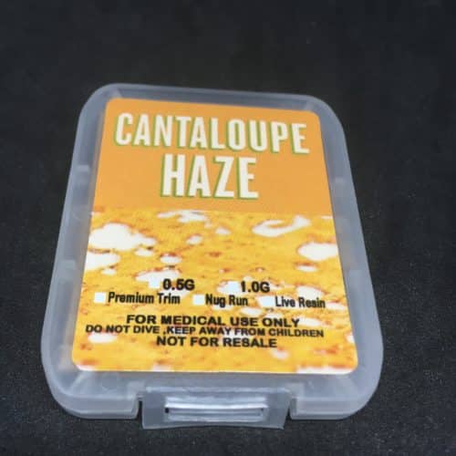 cantaloupe haze shatter front scaled - Cantaloupe Haze Premium Shatter Sativa Weed Delivery Toronto - Cannabis Delivery Toronto - Marijuana Delivery Toronto - Weed Edibles Delivery Toronto - Kush Delivery Toronto - Same Day Weed Delivery in Toronto - 24/7 Weed Delivery Toronto - Hash Delivery Toronto - We are Kind Flowers - Premium Cannabis Delivery in Toronto with over 200 menu items. We’re an experienced weed delivery in Toronto and we deliver all orders in a smell-proof, discreet package straight to your door. Proudly Canadian and happy to always serve you. We offer same day weed delivery toronto, cannabis delivery toronto, kush delivery toronto, edibles weed delivery toronto, hash delivery toronto, 24/7 weed delivery toronto, weed online delivery toronto