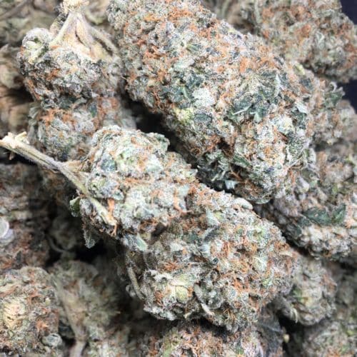 gorilla breath 2022 bag of buds scaled - *** The 1 LB Life Is Good Deal *** NEW PRICE