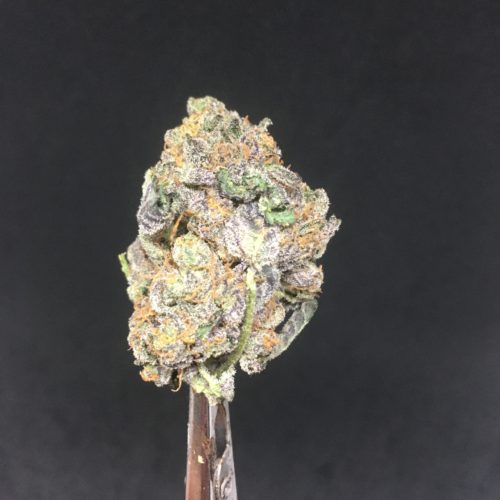 ice cream cake bud scaled - * The Silver Leaf Deal Of The Day