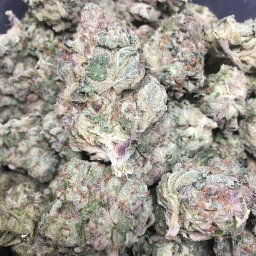 kush mintz bag of buds scaled - Kush Mints AAAA Craft Kind Bud Hybrid Weed Delivery Toronto - Cannabis Delivery Toronto - Marijuana Delivery Toronto - Weed Edibles Delivery Toronto - Kush Delivery Toronto - Same Day Weed Delivery in Toronto - 24/7 Weed Delivery Toronto - Hash Delivery Toronto - We are Kind Flowers - Premium Cannabis Delivery in Toronto with over 200 menu items. We’re an experienced weed delivery in Toronto and we deliver all orders in a smell-proof, discreet package straight to your door. Proudly Canadian and happy to always serve you. We offer same day weed delivery toronto, cannabis delivery toronto, kush delivery toronto, edibles weed delivery toronto, hash delivery toronto, 24/7 weed delivery toronto, weed online delivery toronto
