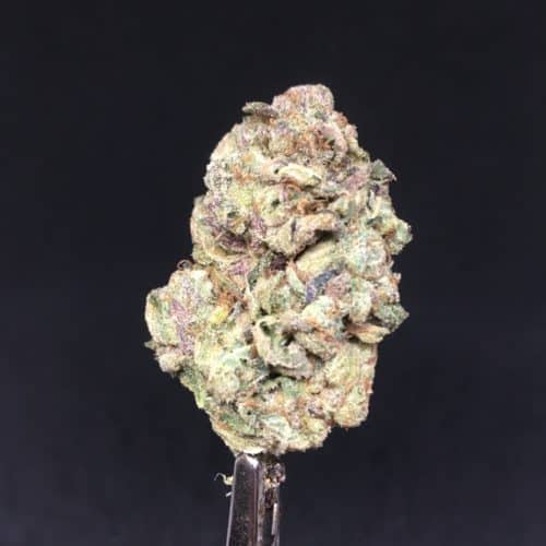 kush mintz bud scaled - #6 The Blue Sky Special Deal Of The Day