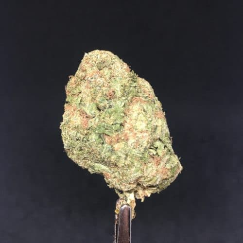 pineapple express scaled - * The Silver Leaf Deal Of The Day