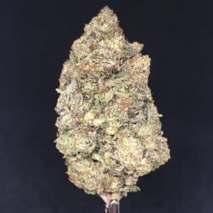 pink tom ford bud 1 - Weed Delivery Toronto | Cannabis Dispensary | Kind Flowers