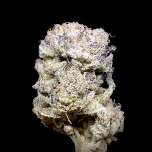 zour apple scaled - Zour Apples AAAA Craft Exotic Kind Craft Chronic Brand (DCF) Indica