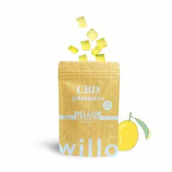 CBD Mango Gummy willo2 350x350 1 - Willo Gummies – CBD Mango Flavour (200mg Relax/Calm/Anxiety)