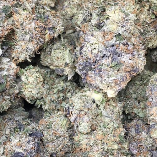 Stinky pinky buds scaled - Stinky Pinky 5 Star/Immaculate B.C Craft Indica Leaning Hybrid