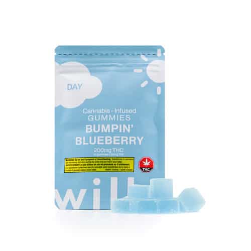 Willo BLUEBERRY front - Willo Gummies – Bumpin' Blueberry (200mg Day/Focus/Energy) Sativa