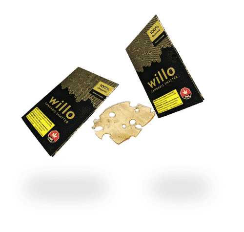 Willo Website Photo Shatter 3 - ** The New Gold Leaf Deal Of The Day