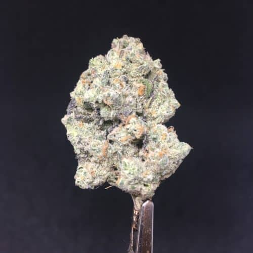 apes of space bud scaled - Apes Of Space 5 Star Immaculate Exotic Indica