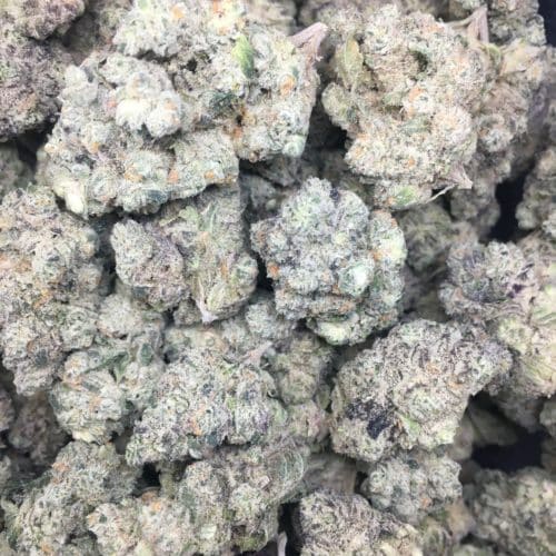 apes of space buds bag scaled - Apes Of Space 5 Star Immaculate Exotic Indica