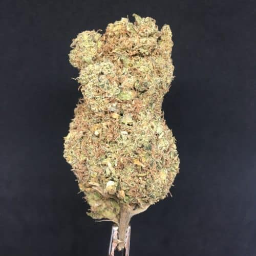 durban poison bud scaled - * The Silver Leaf Deal Of The Day Weed Delivery Toronto - Cannabis Delivery Toronto - Marijuana Delivery Toronto - Weed Edibles Delivery Toronto - Kush Delivery Toronto - Same Day Weed Delivery in Toronto - 24/7 Weed Delivery Toronto - Hash Delivery Toronto - We are Kind Flowers - Premium Cannabis Delivery in Toronto with over 200 menu items. We’re an experienced weed delivery in Toronto and we deliver all orders in a smell-proof, discreet package straight to your door. Proudly Canadian and happy to always serve you. We offer same day weed delivery toronto, cannabis delivery toronto, kush delivery toronto, edibles weed delivery toronto, hash delivery toronto, 24/7 weed delivery toronto, weed online delivery toronto