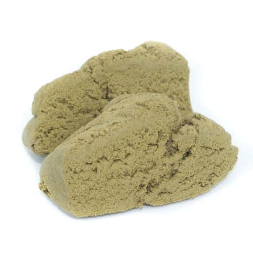 Amsterdam Hash bulldog scaled - * The Bronze Leaf Deal Of The Day