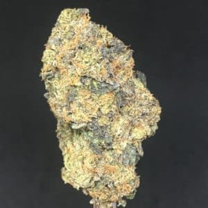 Pink Diablo bud - Weed Delivery Whitby