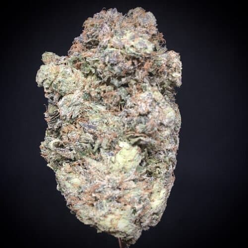 astro pink 2 scaled - Astro Pink 5 Star / Immaculate Fire Leaf Interior B.C Indica