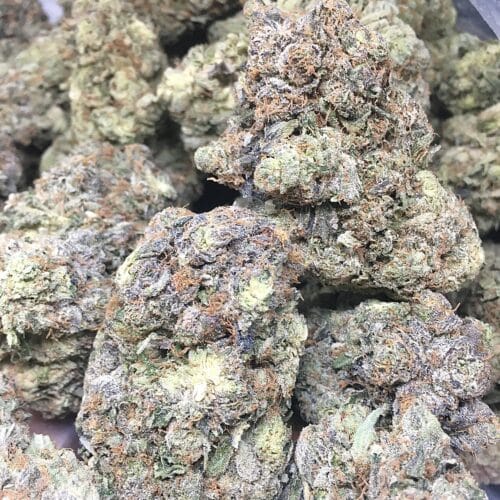 astro pink 3 scaled - Astro Pink 5 Star / Immaculate Fire Leaf Interior B.C Indica