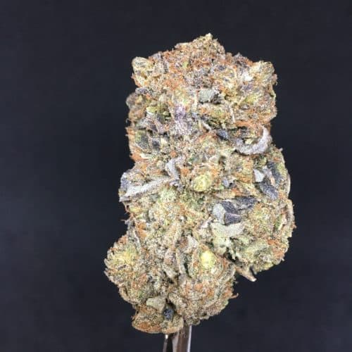 pine tar bud scaled - Pine Tar Nelson B.C Fire Buds 100% Indica 5Star/Immaculate
