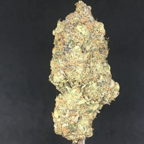 pine tar pinkJPG scaled - Pine Tar Nelson B.C Fire Buds 100% Indica 5Star/Immaculate