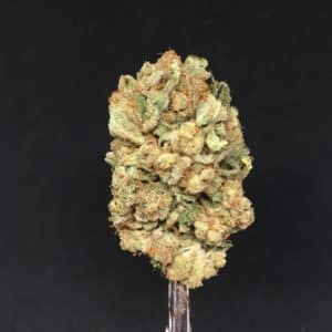 pineapple skunk bud - Weed Delivery King City